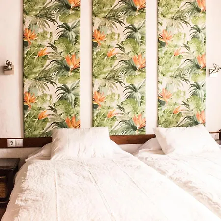 Apartamento Malvasia